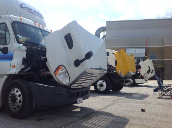 IMG_3389 alternate text for this image