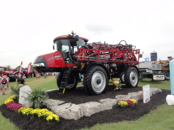 DSC02510 alternate text for this image