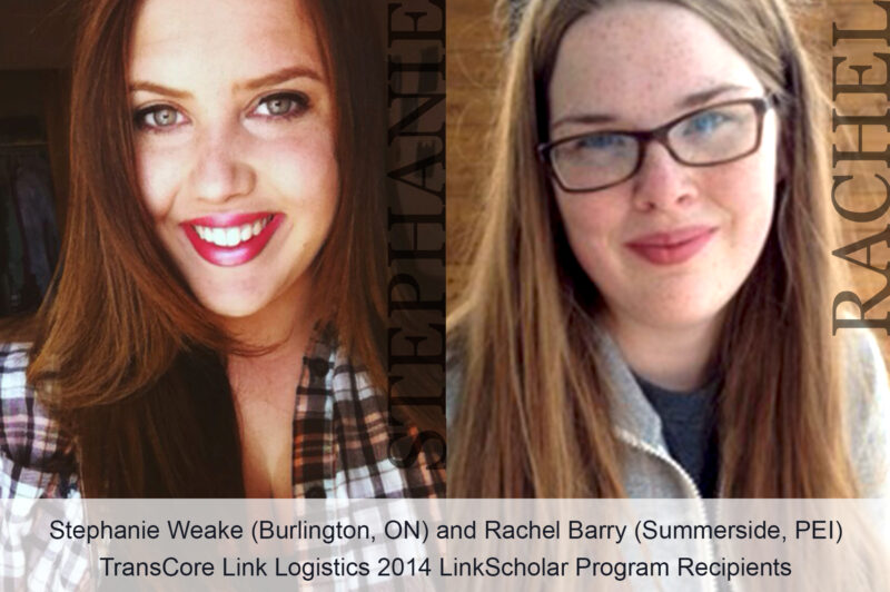 Loadlink reports surge in loads, drop in trucks article image