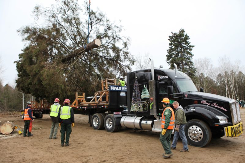 Kenworth T880 to deliver US Capitol Christmas tree article image