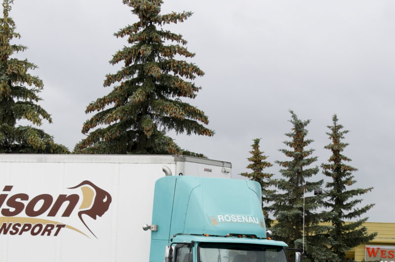 truck driving championships