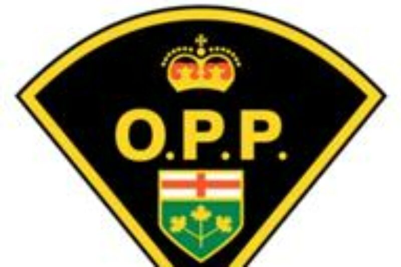 Ontario on-road fatalities surge article image