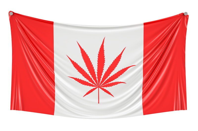 Mary J 101: What really happens to you when you consume cannabis? article image