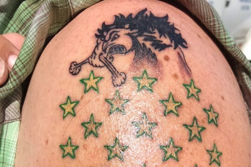 Sask. driver honors Humboldt victims in the stars article image