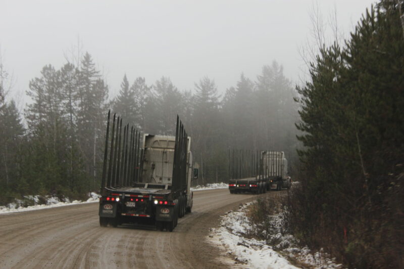 A Canadian first article image