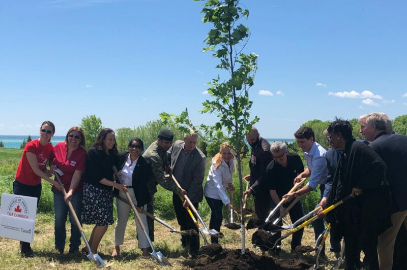 Volvo Group sponsors tree planting for Canadian veterans article image