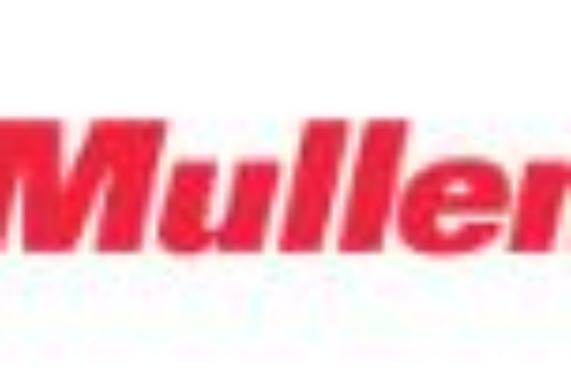 Mullen's Second-Biggest Deal: $172M to Buy Gardewine article image