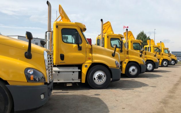 Story 14 alternate text for this image