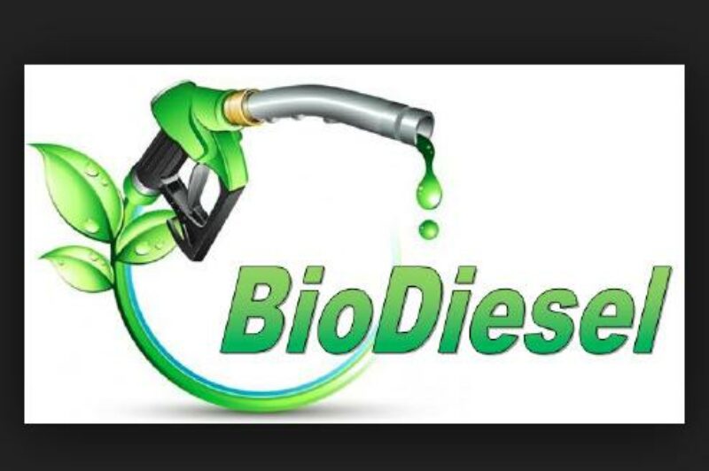 Biodiesel output slumps in 2014 article image