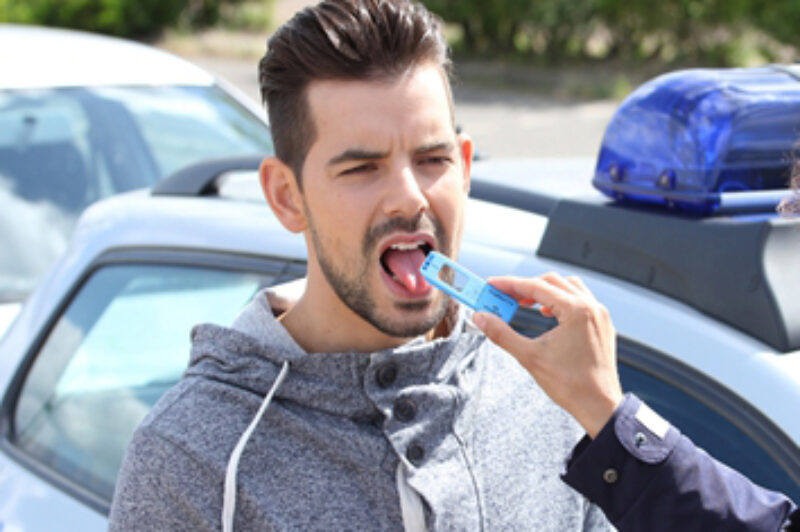 North American fleets head into the weed(s) article image