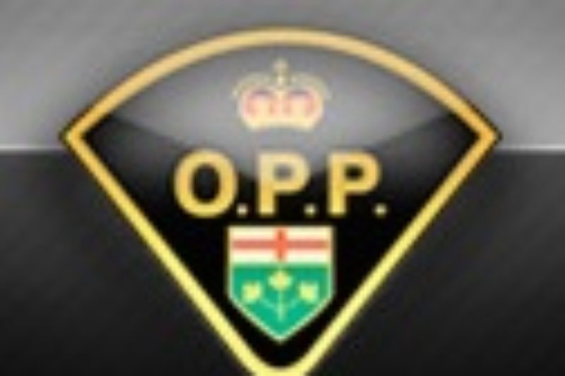 OPP Logo