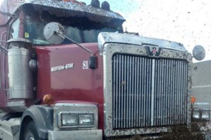 Can you bee-lieve it? Police find truck covered in hive article image