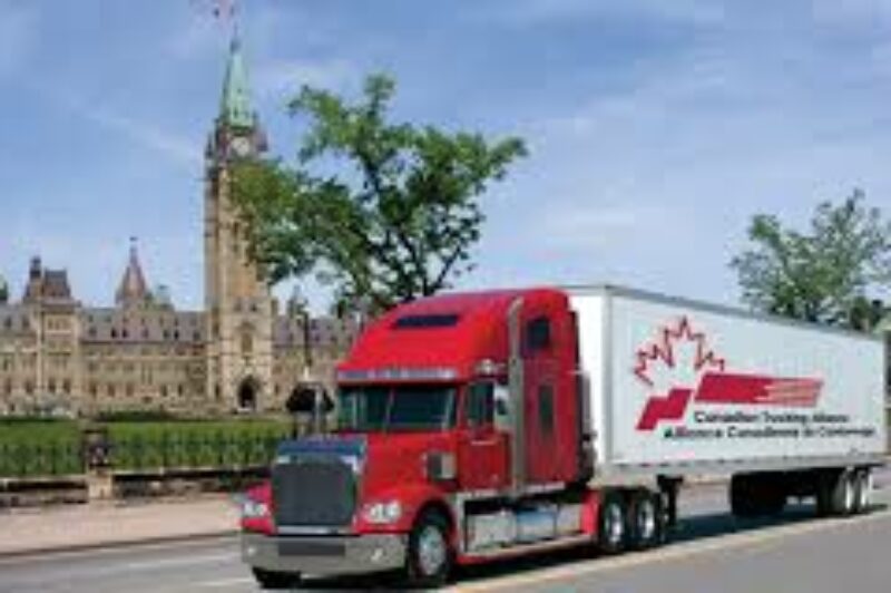 CTA wants harmony on 11 issues article image