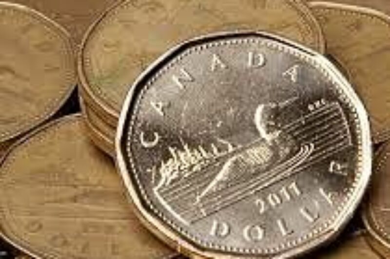 Westport trims losses article image