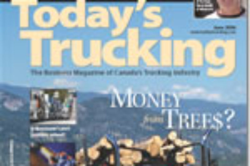 2006 June article image