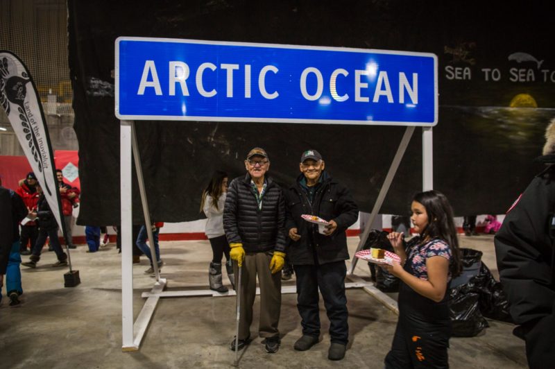 A road to the Arctic Ocean article image