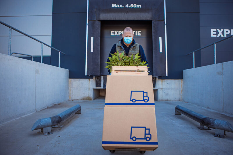 Covid-19 distribution