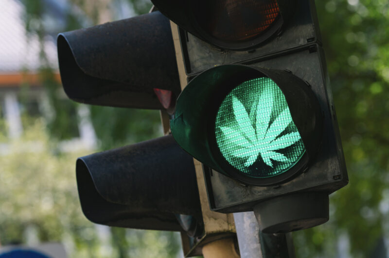 traffic light with marijuana leaf
