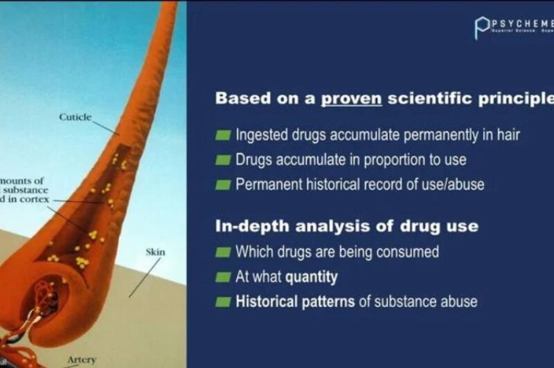 hair testing for drugs explained