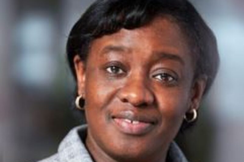 Lion Electric names Isabelle Adjahi VP article image