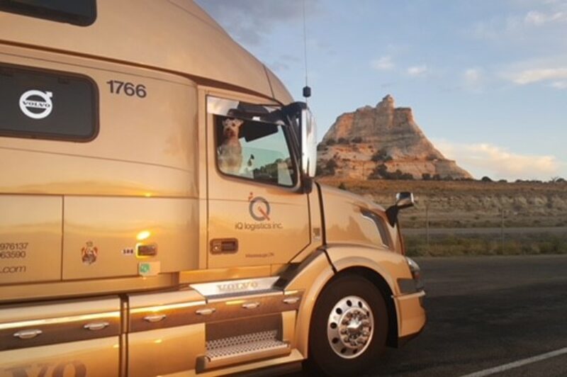 TransPro buys iQ Logistics article image