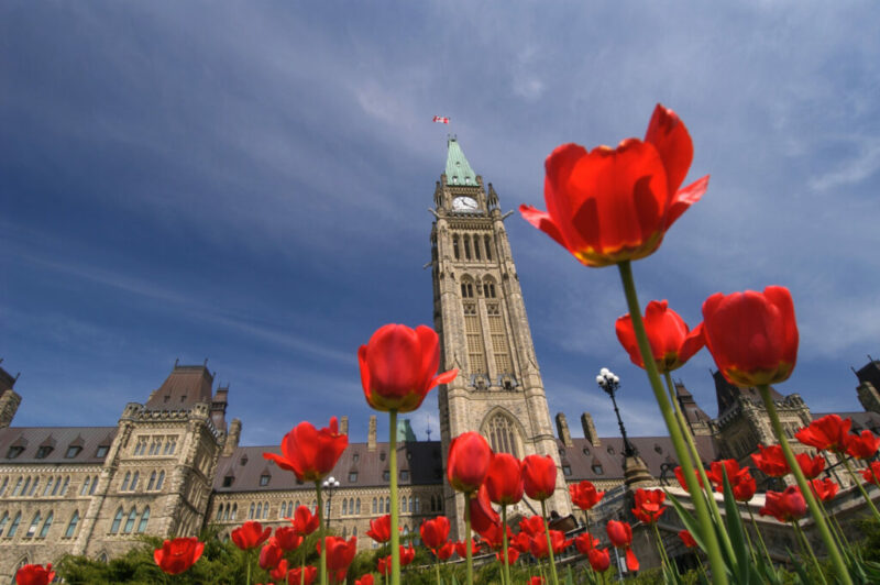 Parliament buildings