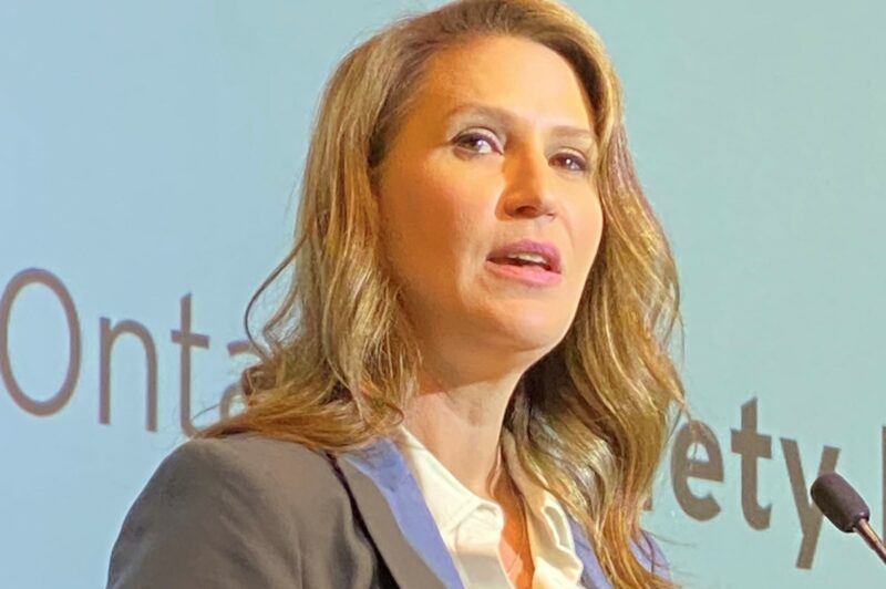 Mulroney highlights infrastructure investment, protection article image