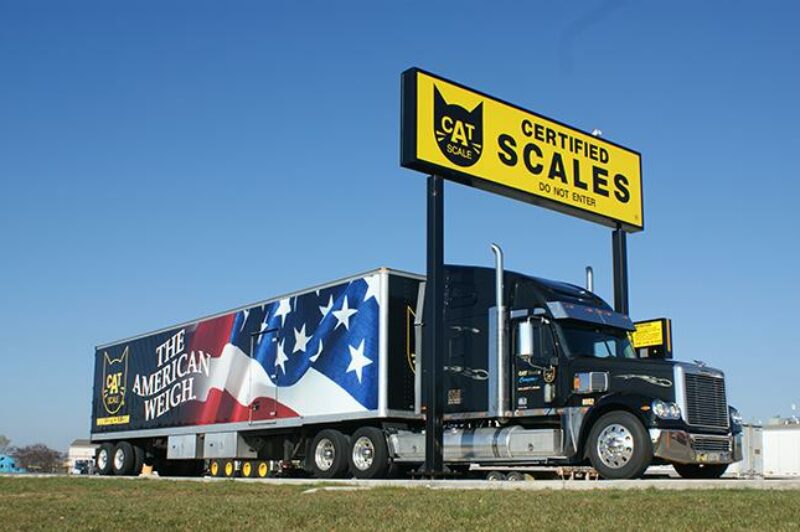 CAT Scale’s Heather DeBaillie Answers Questions About App article image