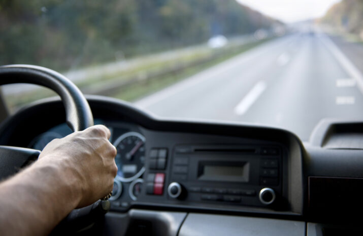 Driver holding steering wheel