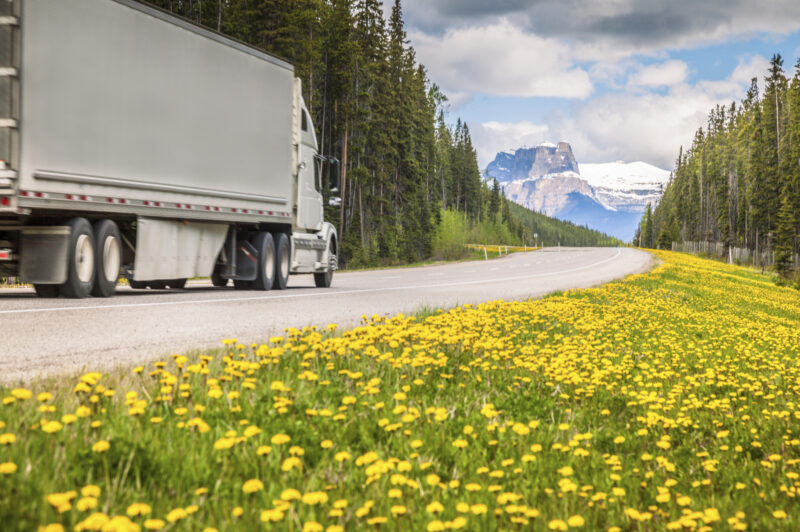 Truck in Jasper National Park Alberta