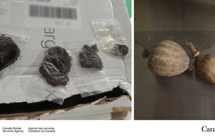 Picture of suspected drugs discovered in a tractor-trailer