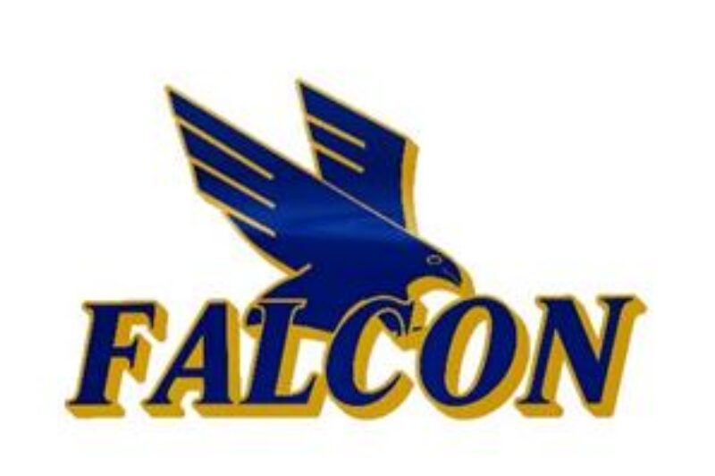 UPDATED: Falcon Xpress exits receivership article image