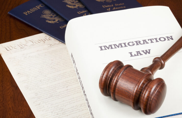 U.S. suspends issuing of visas to foreign truck drivers article image